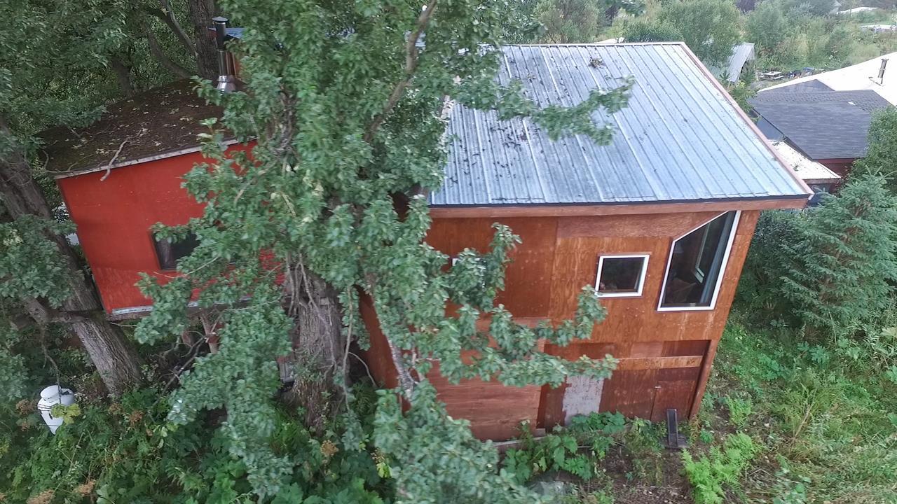 Cottonwood Cabins Fritz Creek Exterior foto