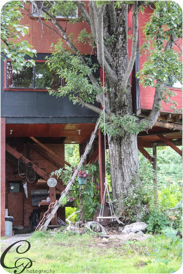 Cottonwood Cabins Fritz Creek Exterior foto